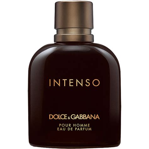 parfum homme dolce gabbana intenso